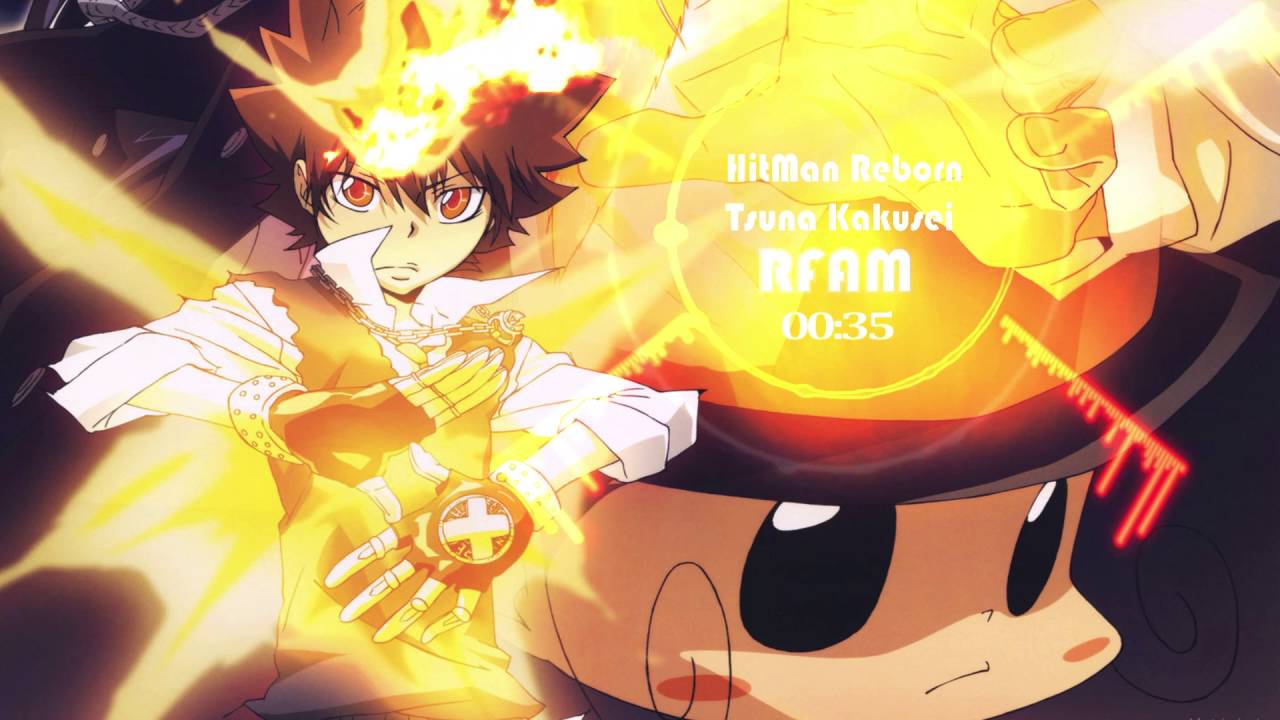 Hitman Reborn 家庭教師 Tsuna Kakusei Sawada And Reborn Wallpaper & Background Download