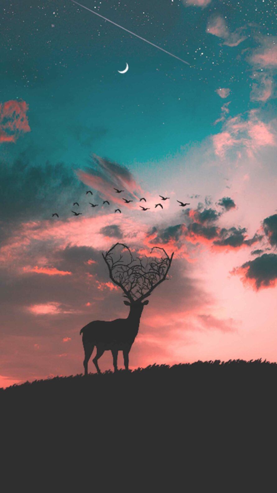 Deer Sunset Silhouette IPhone Wallpaper. Sunset silhouette, Deer wallpaper, Animal wallpaper
