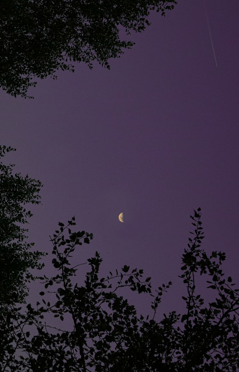 beautiful moon & purple sky p.s. this photo was taken