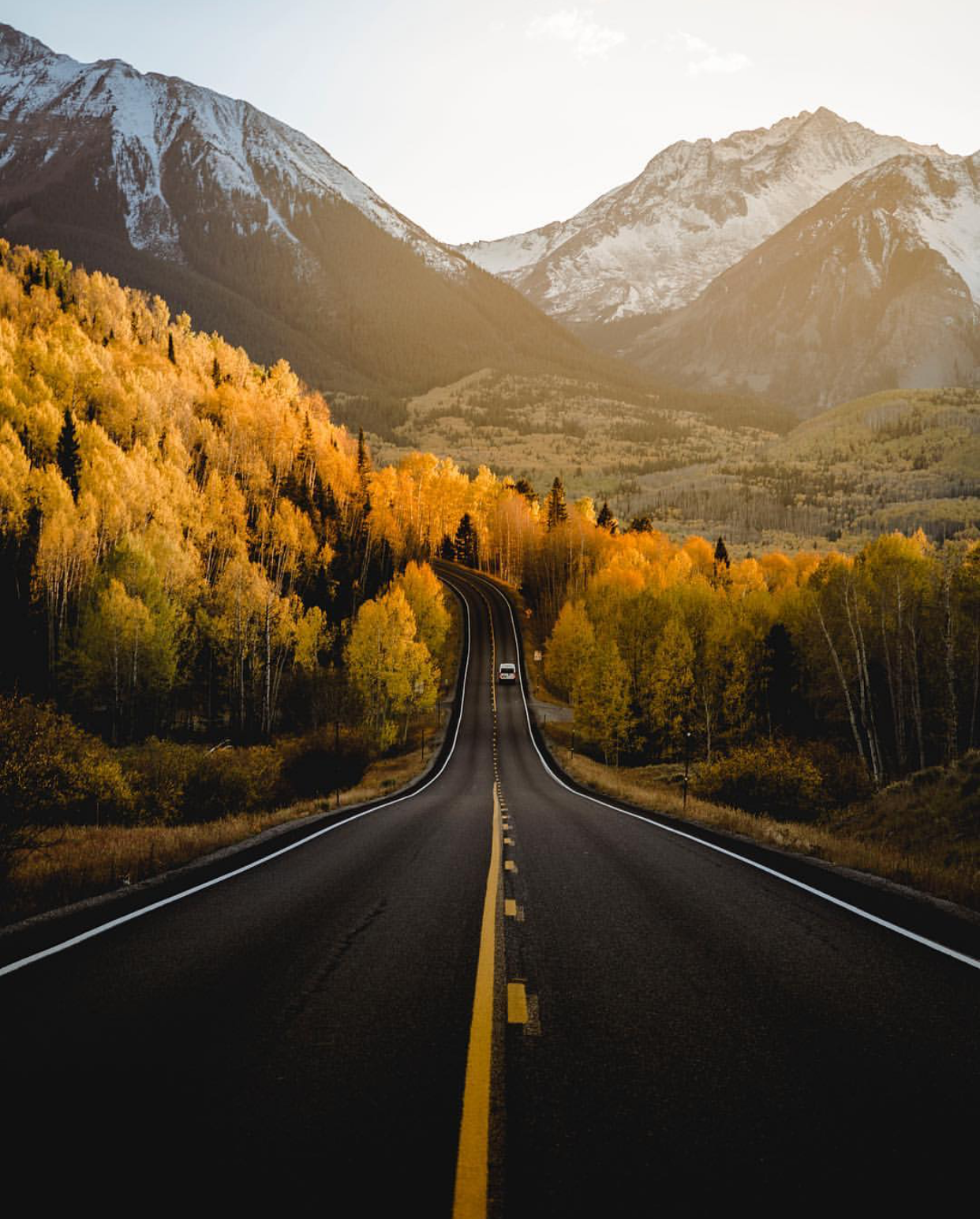 Road trips through Telluride, Colorado #colorado #trees #Forest #Fall #tree #autumn #road #roads #path #drive. Beautiful roads, Scenic, Trip
