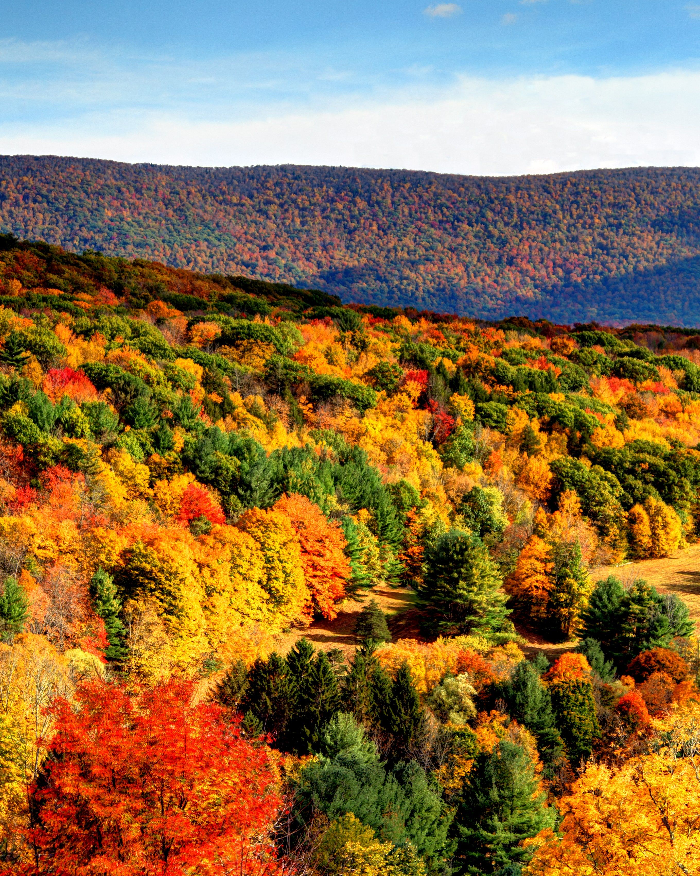 The Ultimate New England Fall Road Trip for the Best Foliage Views. Condé Nast Traveler
