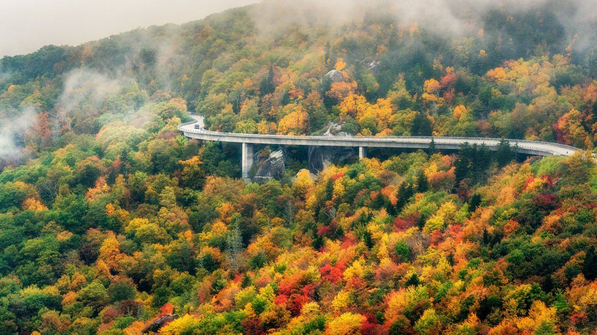 The Most Scenic Road Trips to See Fall Foliage in America