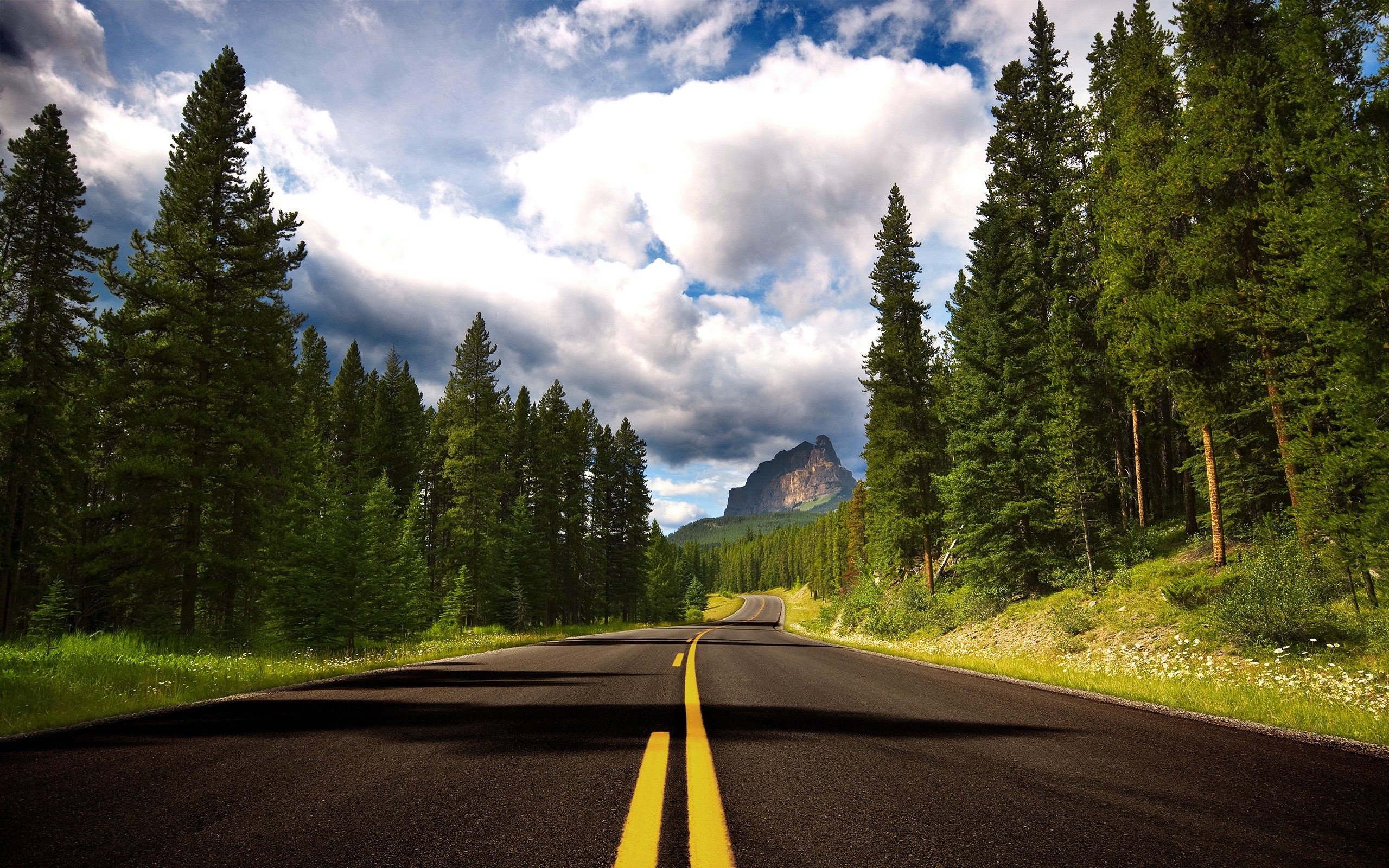 Route through forest wallpaper. Route through forest