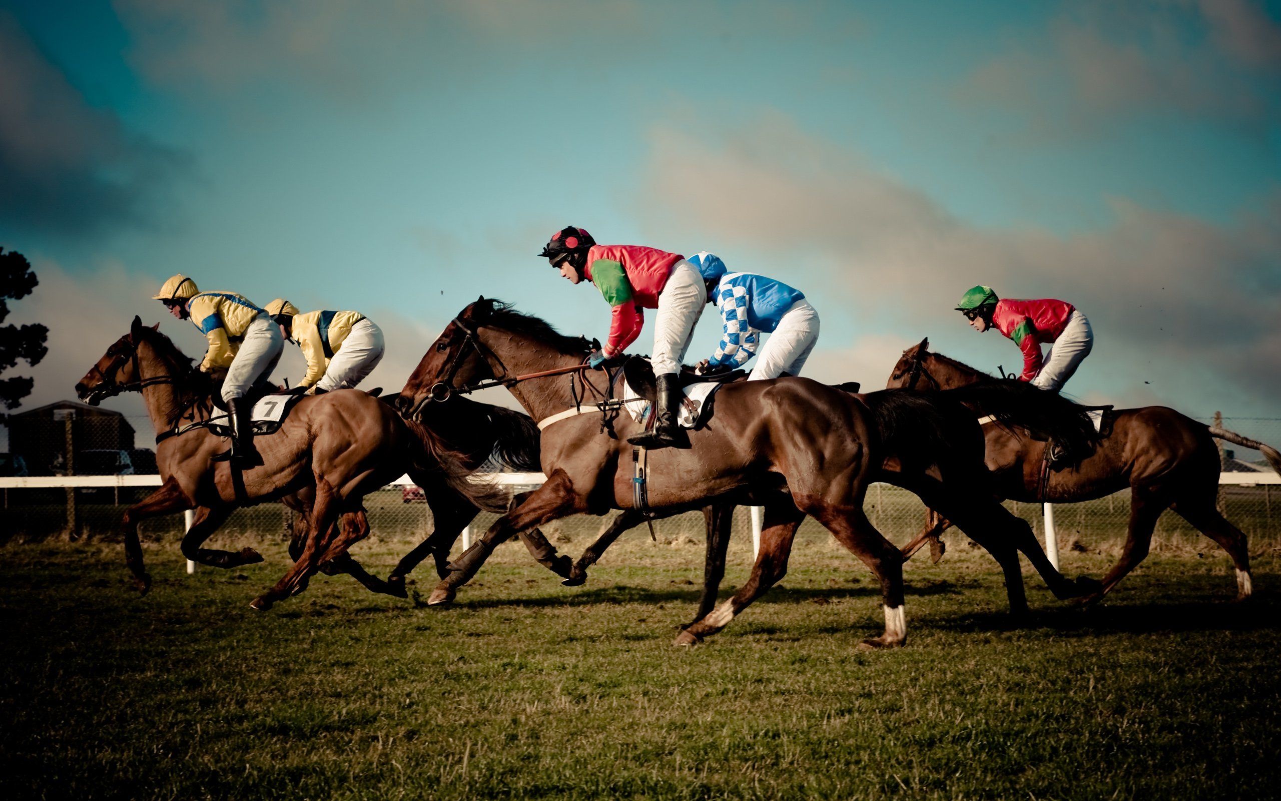 HORSE RACING race equestrian sport jockey horses wallpaperx1600