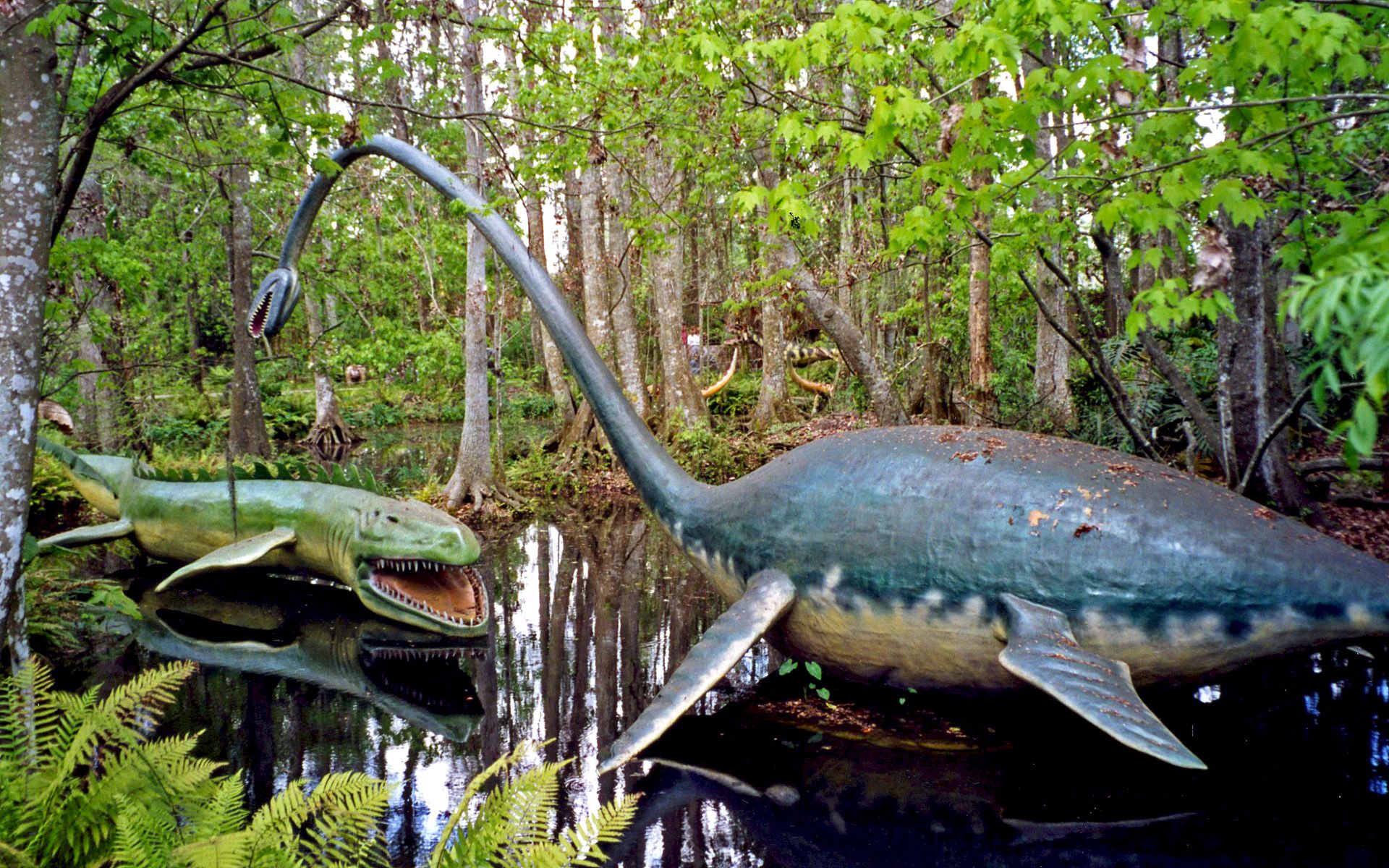 Elasmosaurus Wallpaper. Elasmosaurus Wallpaper