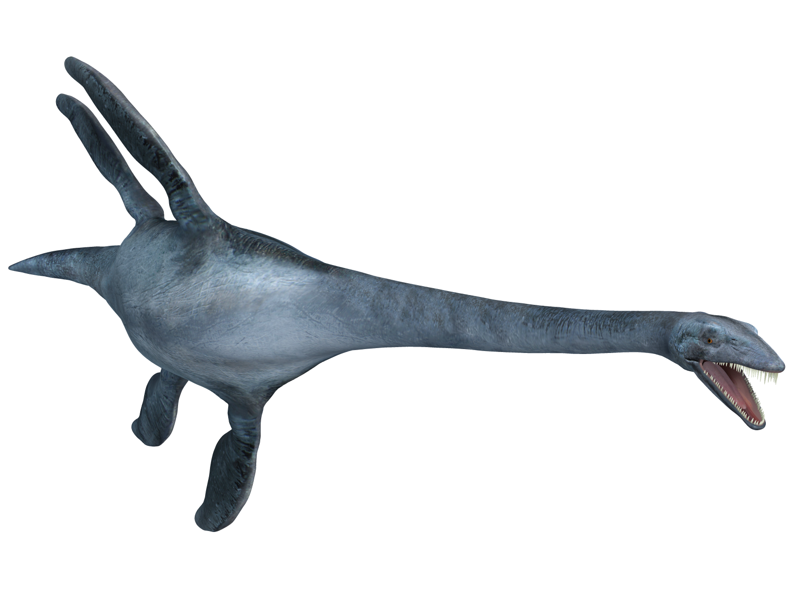 Elasmosaurus