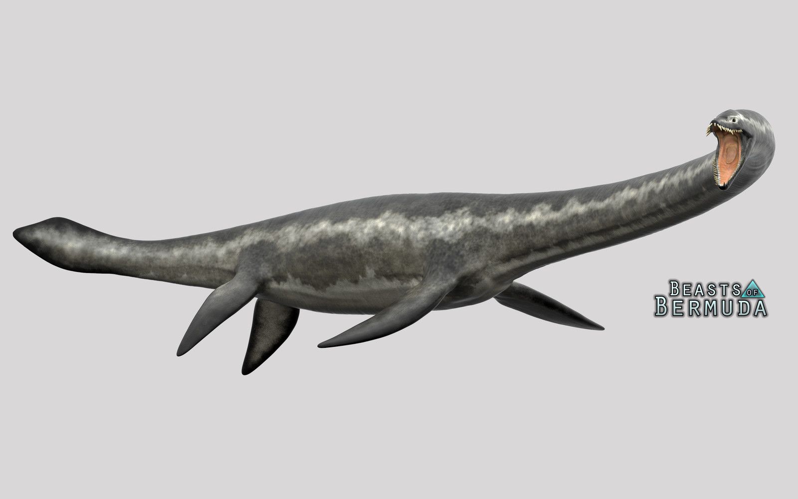 Elasmosaurus, Manuel Gil Jaramillo