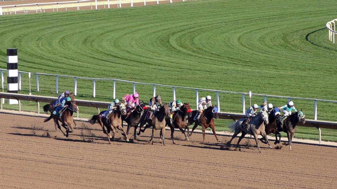 Horse Racing Wallpaper for Android