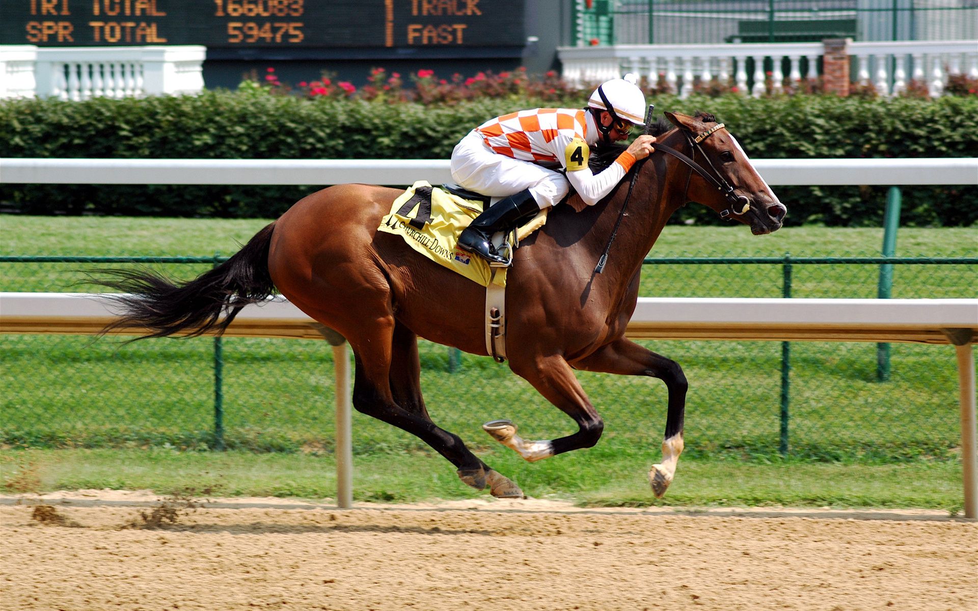 Sports Horse Racing Wallpaper:1920x1200
