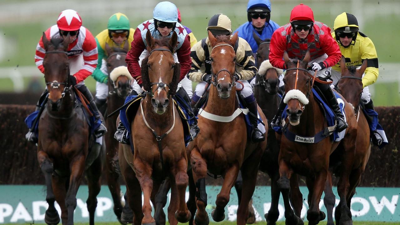 Horse Racing Wallpaper for Android