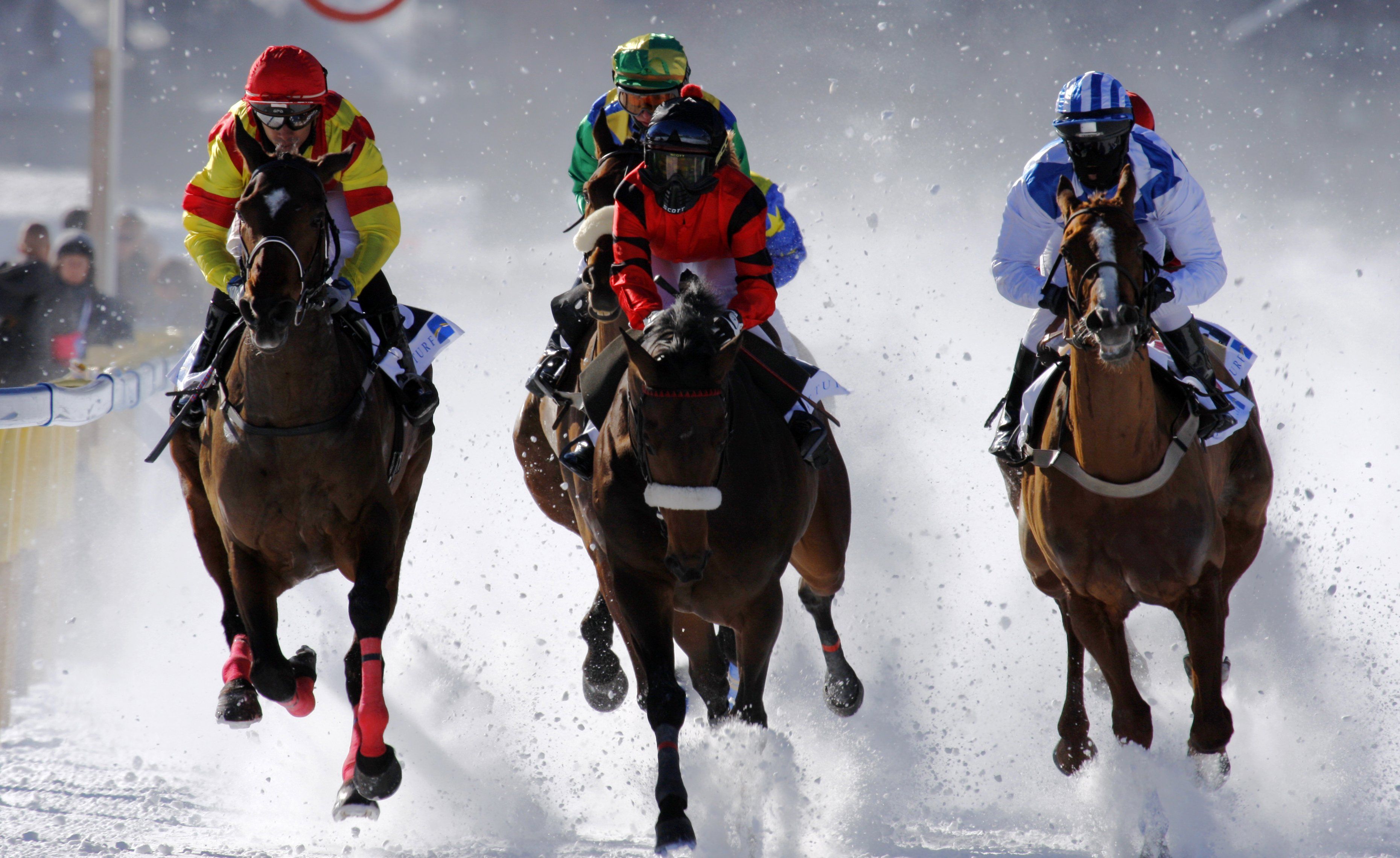 HORSE RACING race equestrian sport jockey horses wallpaperx2280