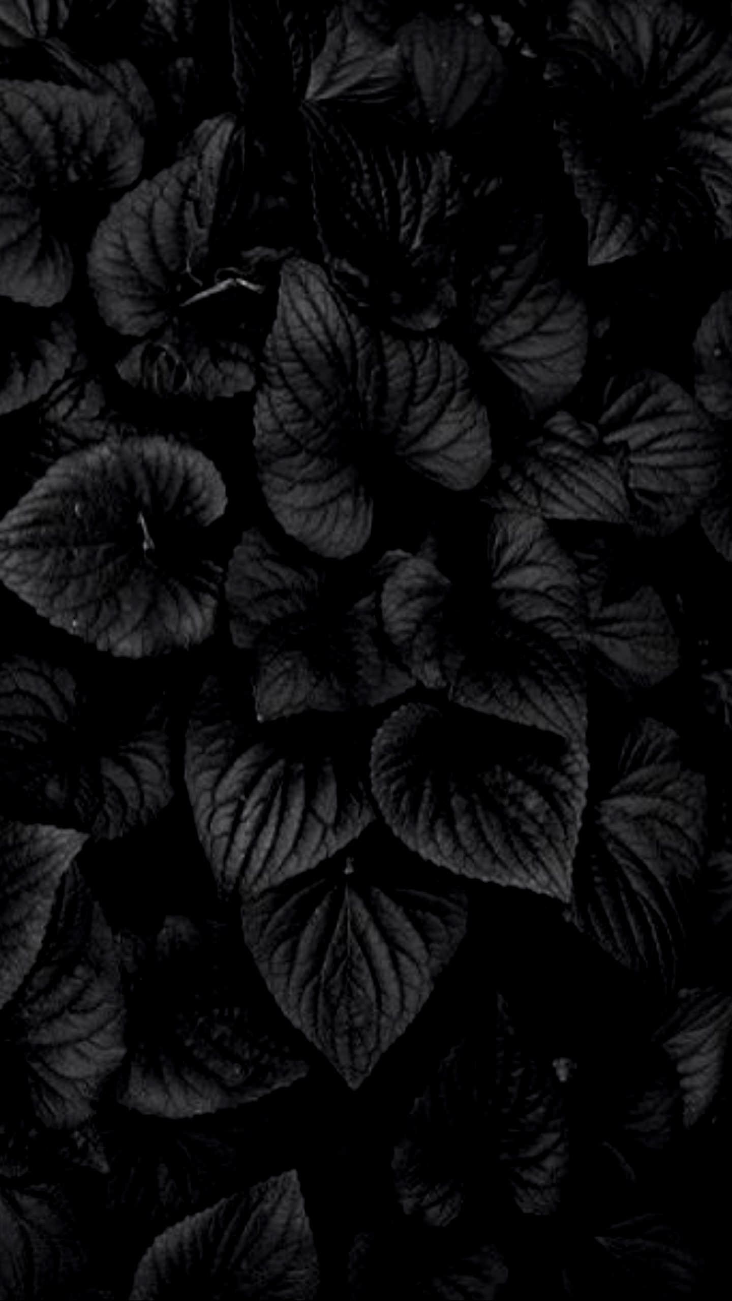 Floral Dark Phone Abstract Wallpapers - Wallpaper Cave