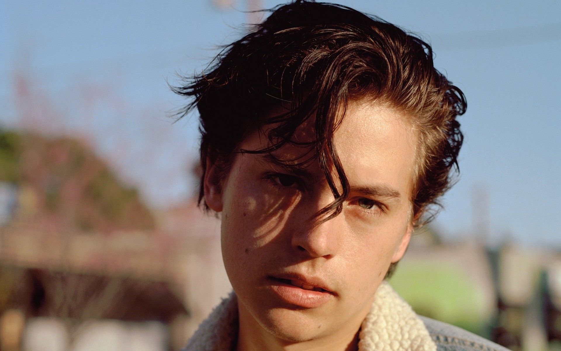 Cole Sprouse HD Desktop Wallpaper 38769