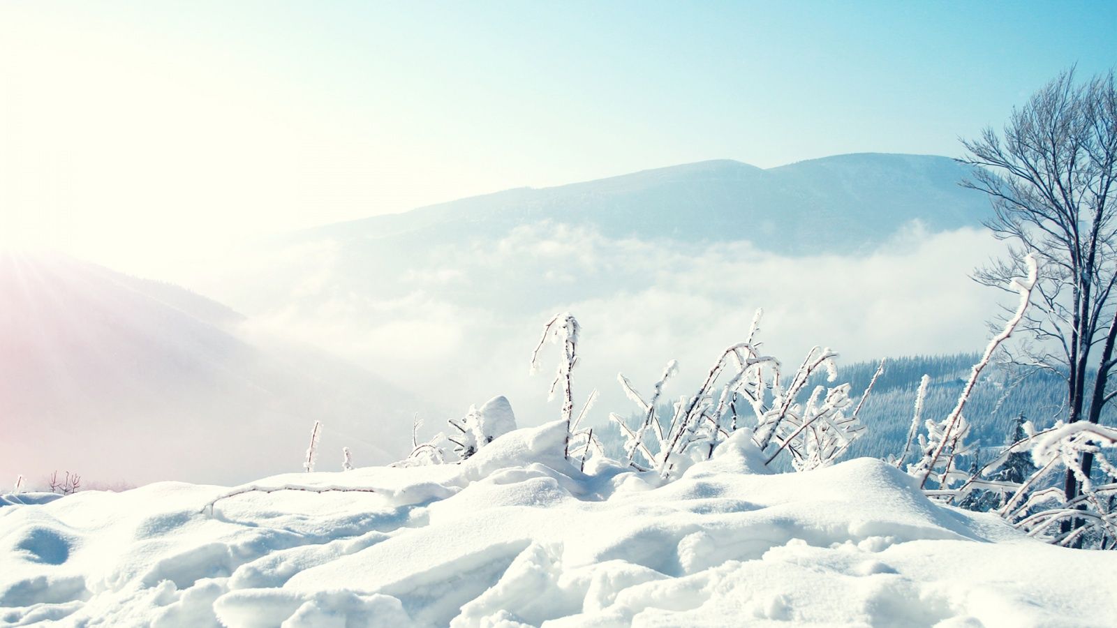 Snow Winter Mountains Wallpaper in jpg format for free download