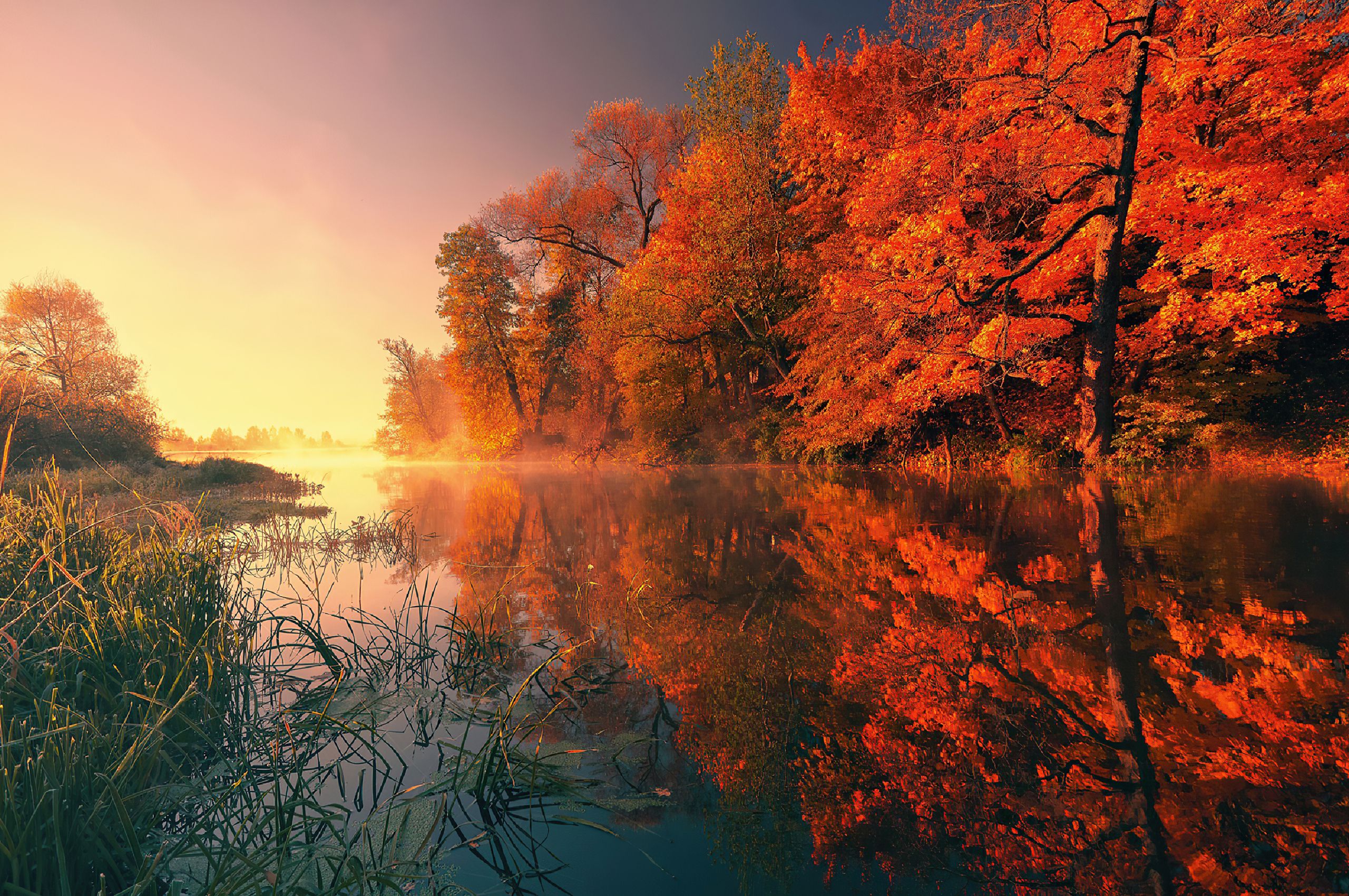 Trees Fall Reflection Autumn 4k Chromebook Pixel HD 4k Wallpaper, Image, Background, Photo and Picture