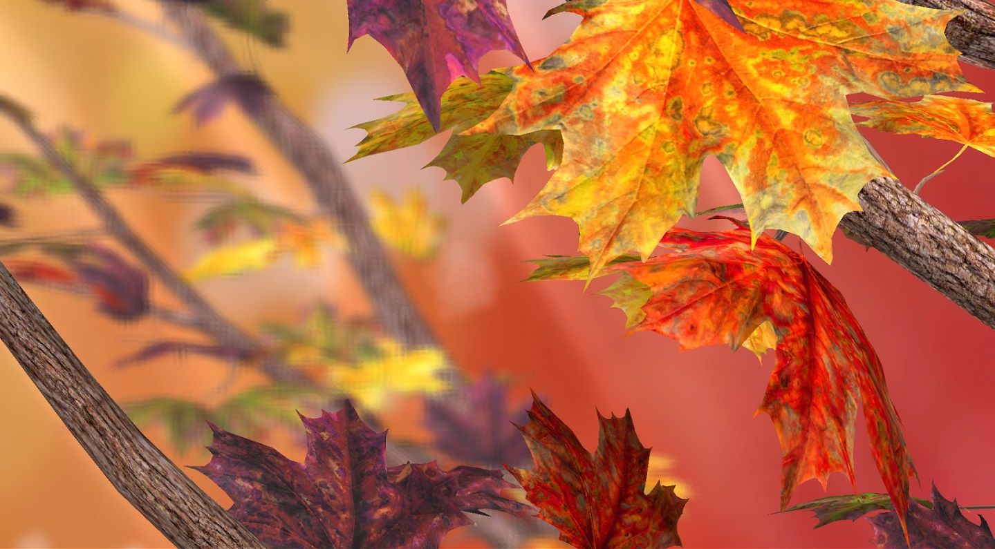 Autumn Live Wallpaper for Android