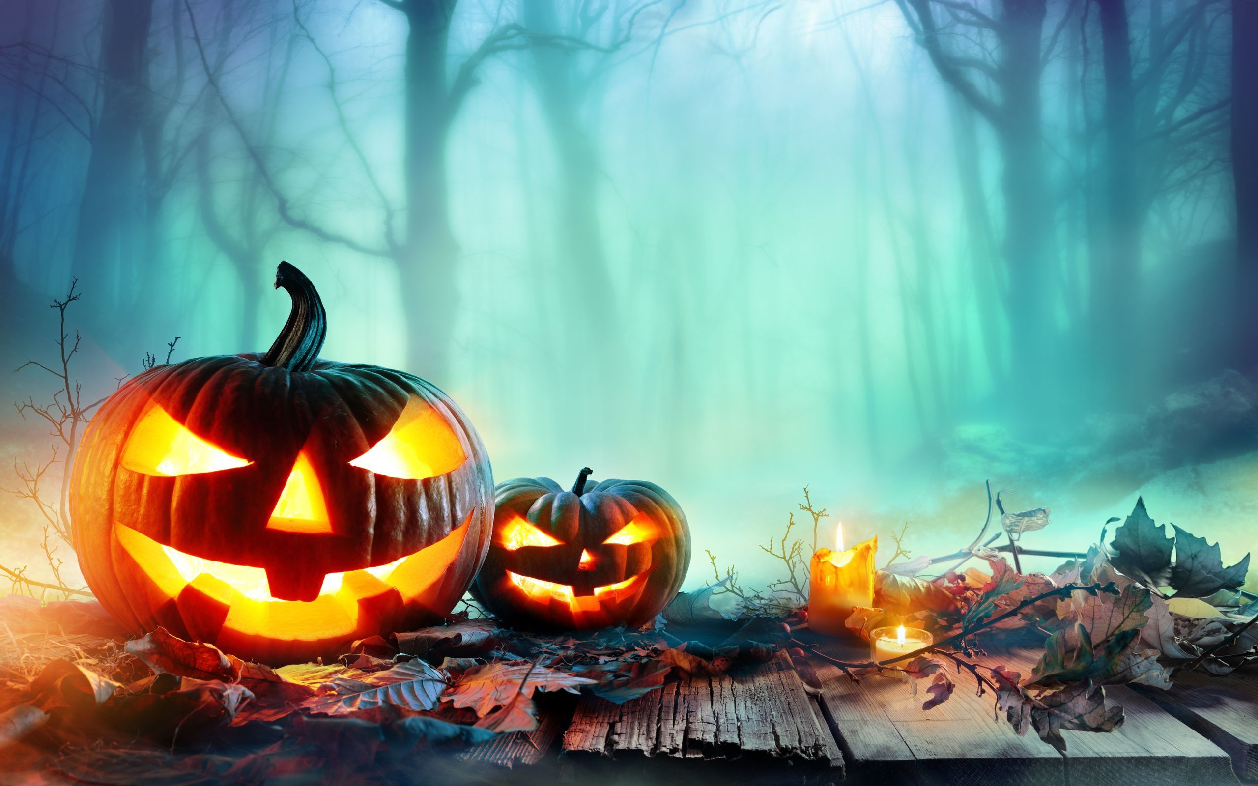 Download wallpaper Halloween, pumpkin, fairy forest, night, modern holiday, October burning candles for desktop with resolution 2560x1600. High Quality HD picture wallpaper