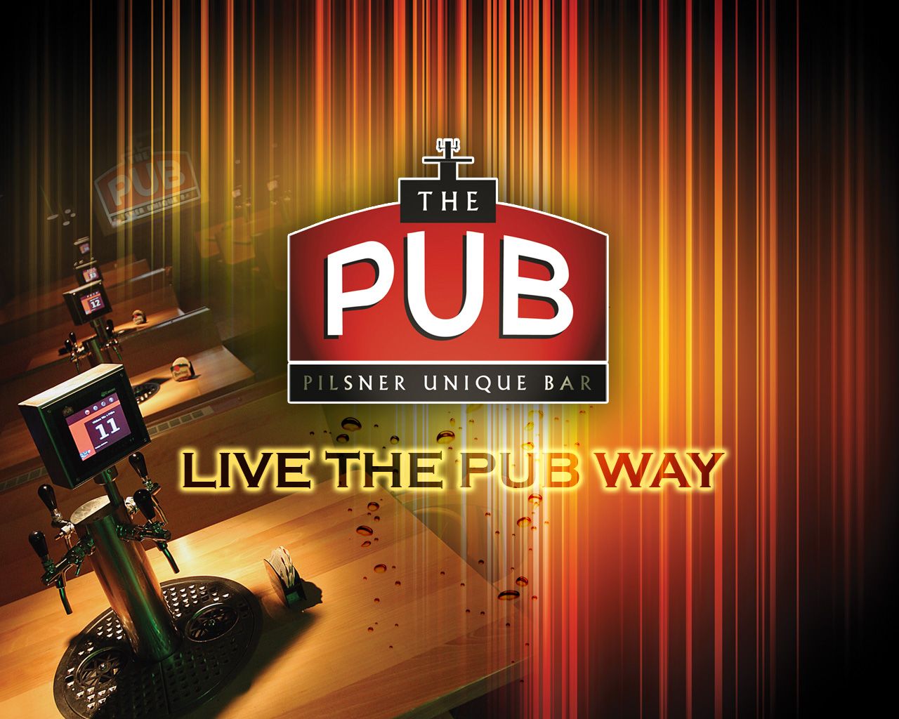 Downloads Unique Bar