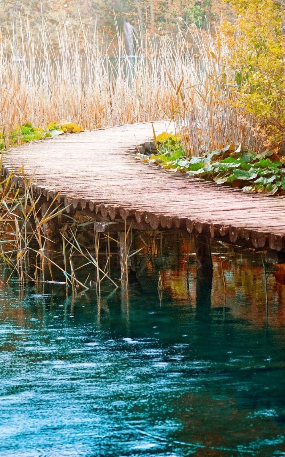 Wooden Bridge Painting Android Wallpaper free download