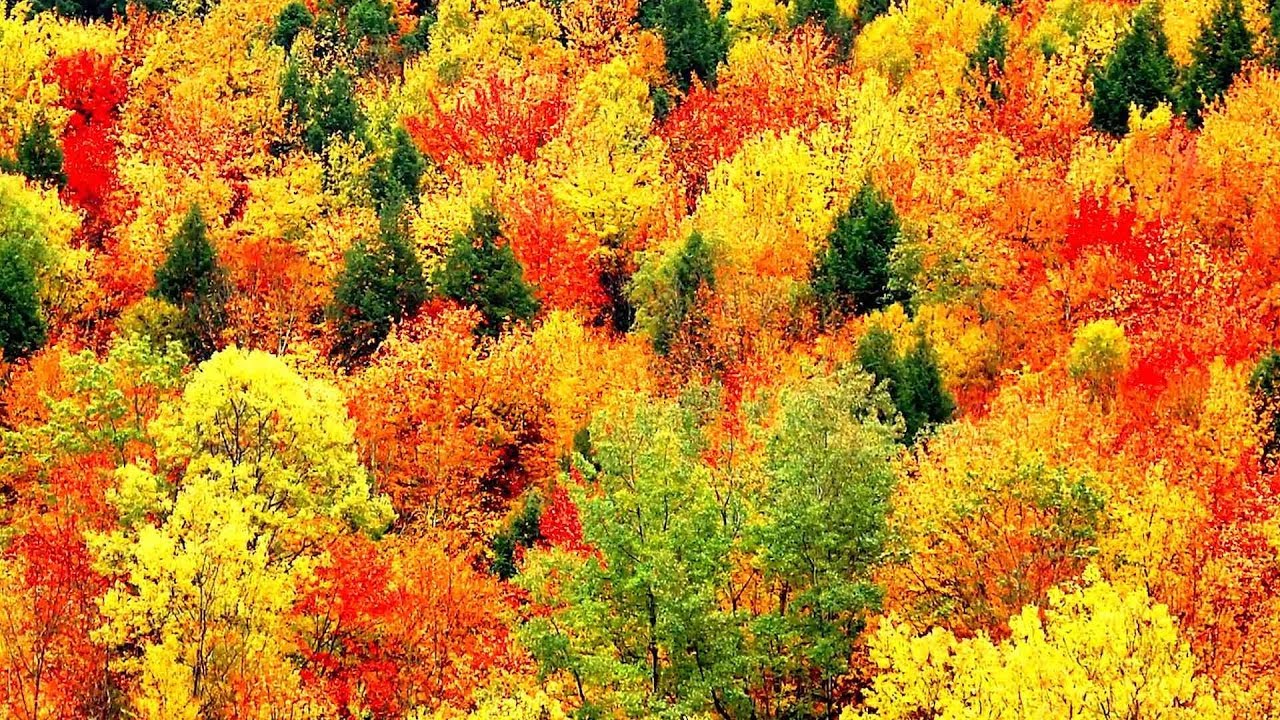 Peaceful Music, Relaxing Music, Instrumental Music, Autumn Leaves