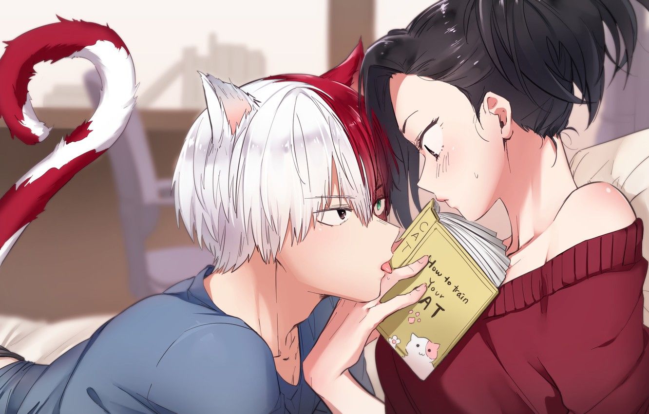 Wallpaper book, two, My hero Academy .anime.goodfon.com