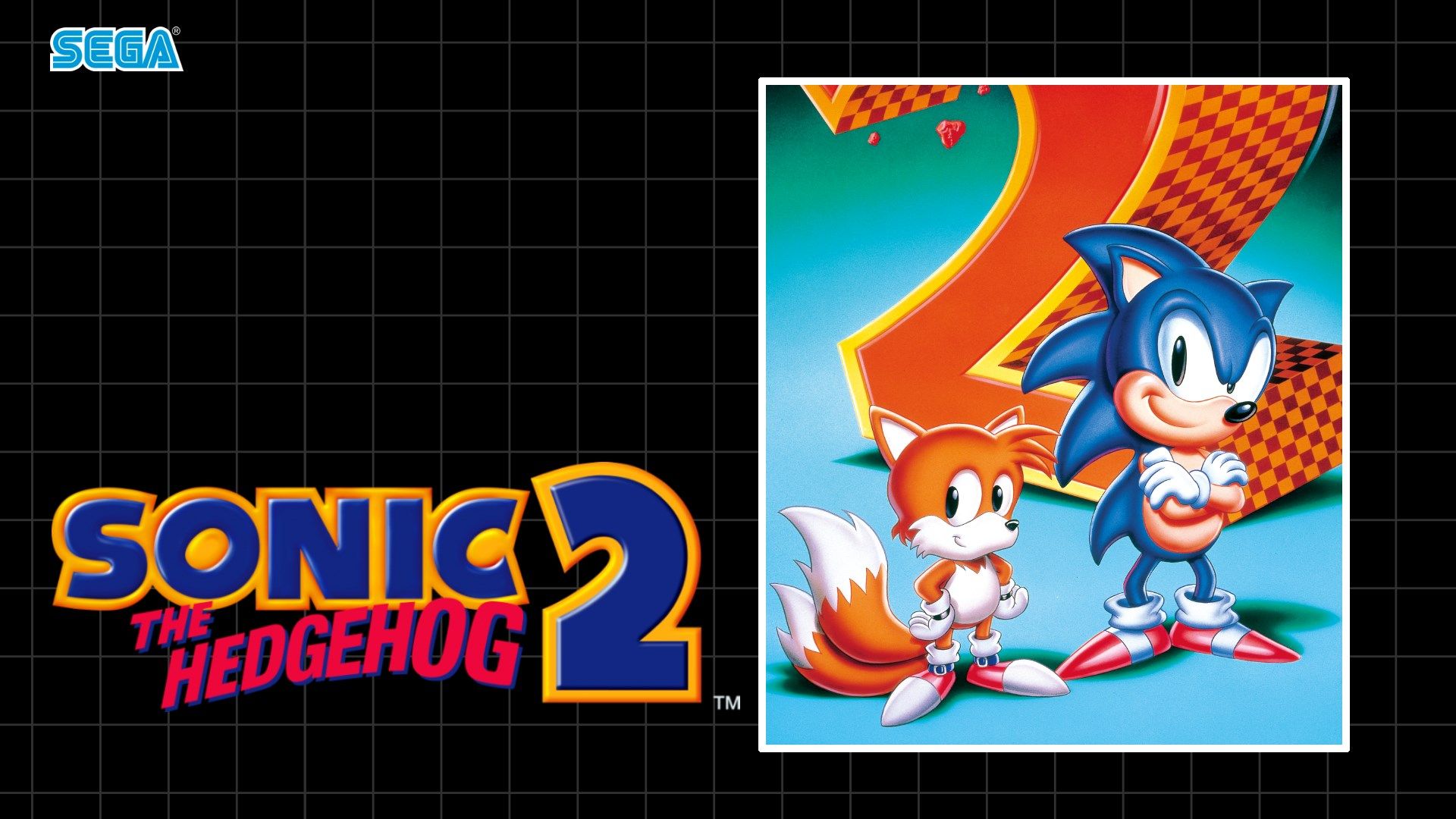 Buy Sonic The Hedgehog 2 Store En CA