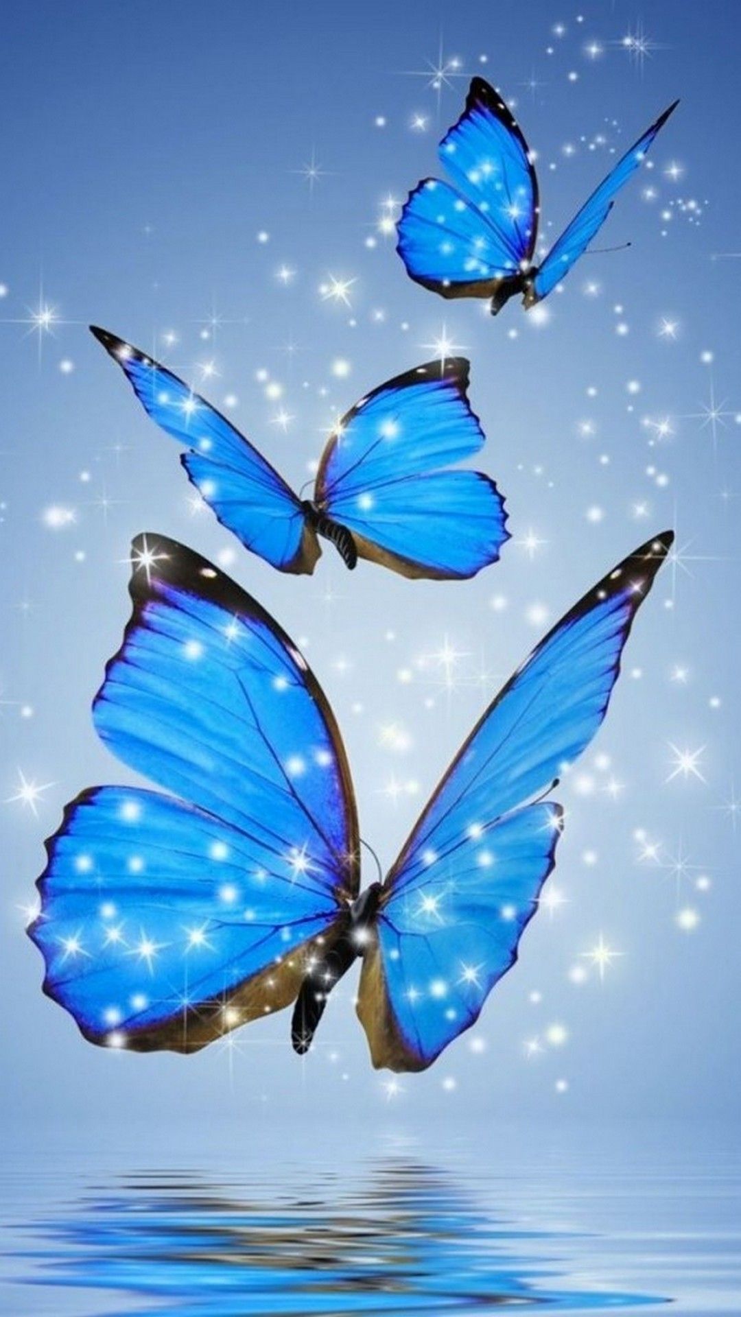 Real Blue Butterfly Wallpaper