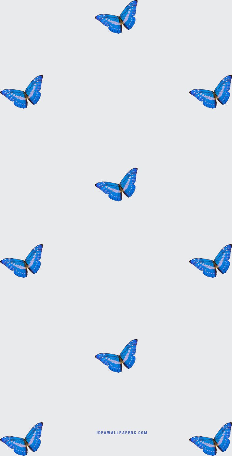 iphone wallpaper pretty blue butterfly Wallpaper