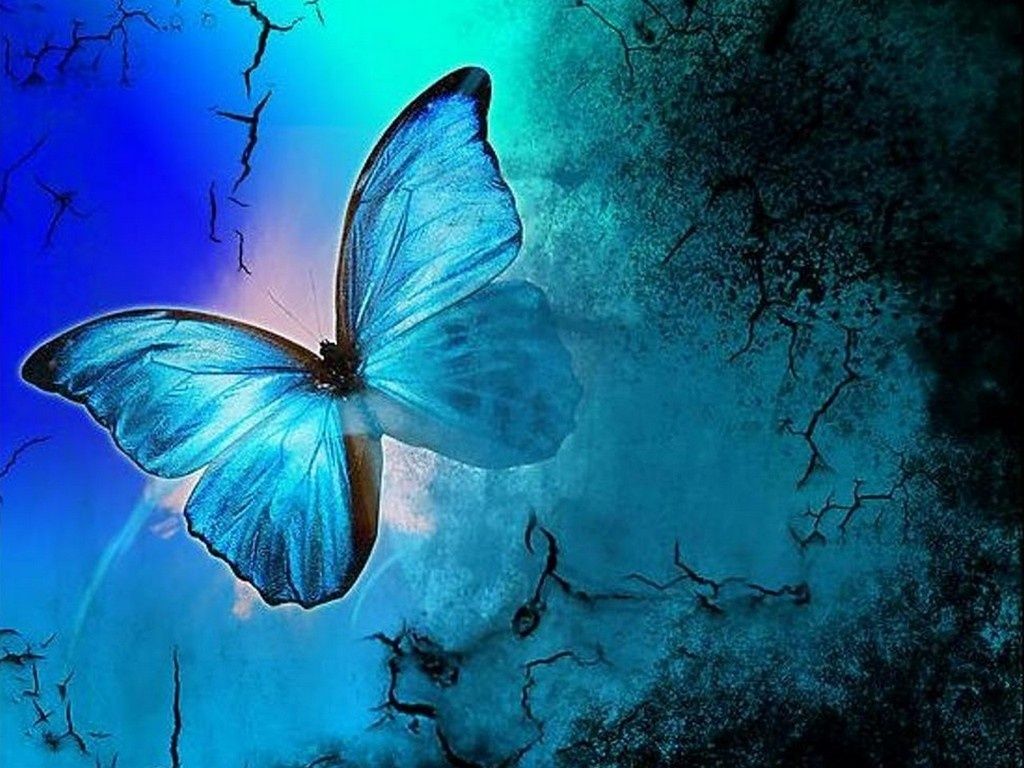 Free download Blue Butterfly Wallpaper [1024x768] for your Desktop, Mobile & Tablet. Explore Wallpaper Of Butterflies. Free Desktop Wallpaper Butterflies Flowers, Beautiful Butterflies Wallpaper, Beautiful Wallpaper of Butterflies