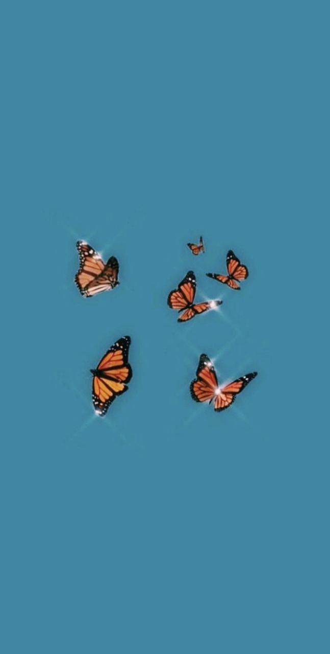 Butterfly, Wallpaper, And Aesthetic Image Butterfly Wallpaper & Background Download