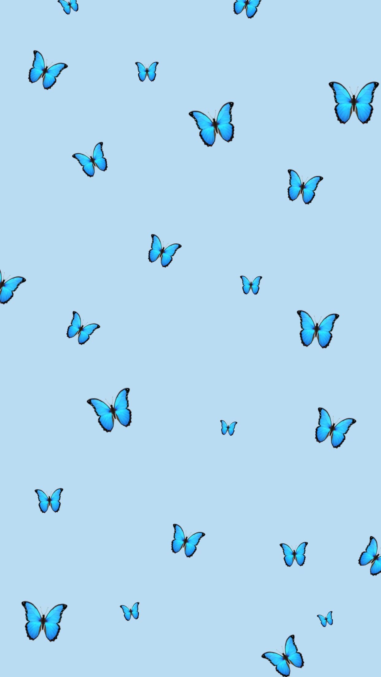 blue butterfly wallpaper. Blue butterfly wallpaper, Butterfly wallpaper iphone, Cute patterns wallpaper