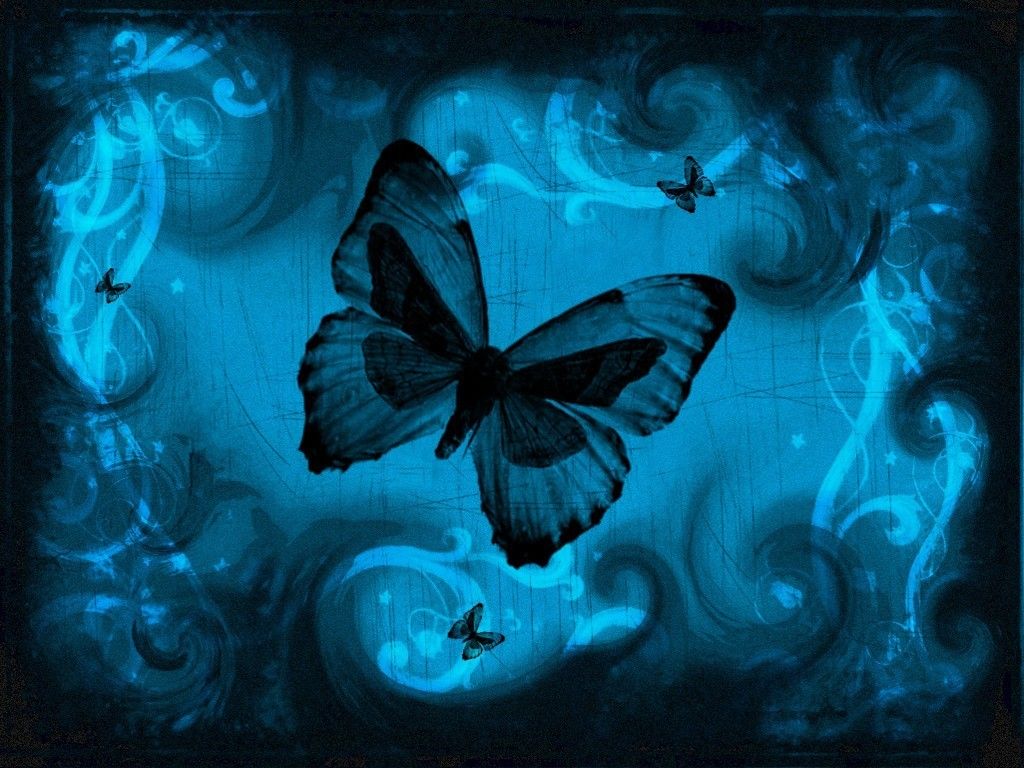 News Butterfly: Blue Butterfly Wallpaper