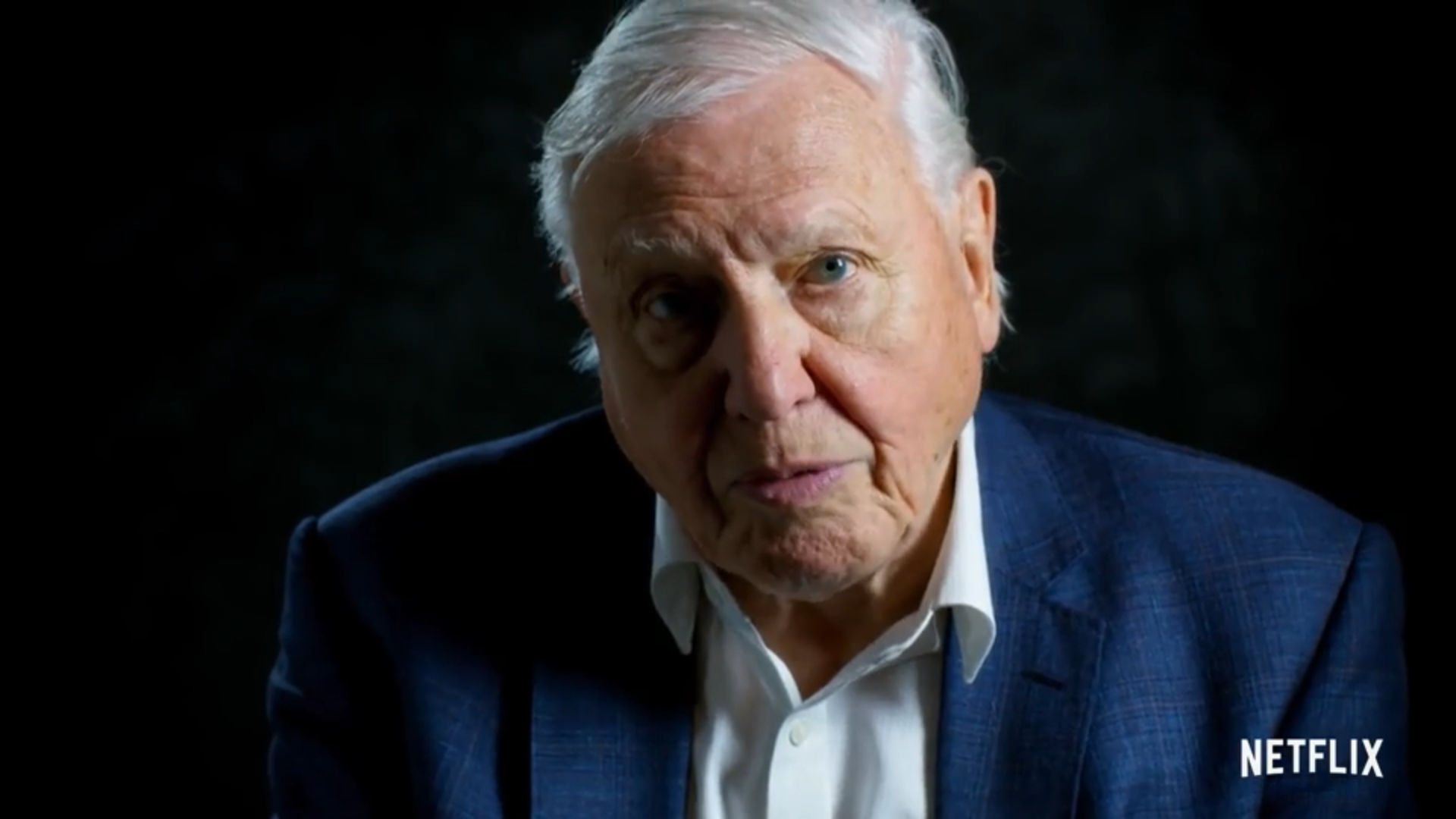 David Attenborough: A Life On Our Planet leaves Netflix fans 'crying uncontrollably' with emotional extinction warning