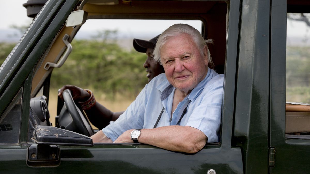 David Attenborough: A Life on Our Planet' review: The naturalist offers his climate change 'witness statement' in Netflix special