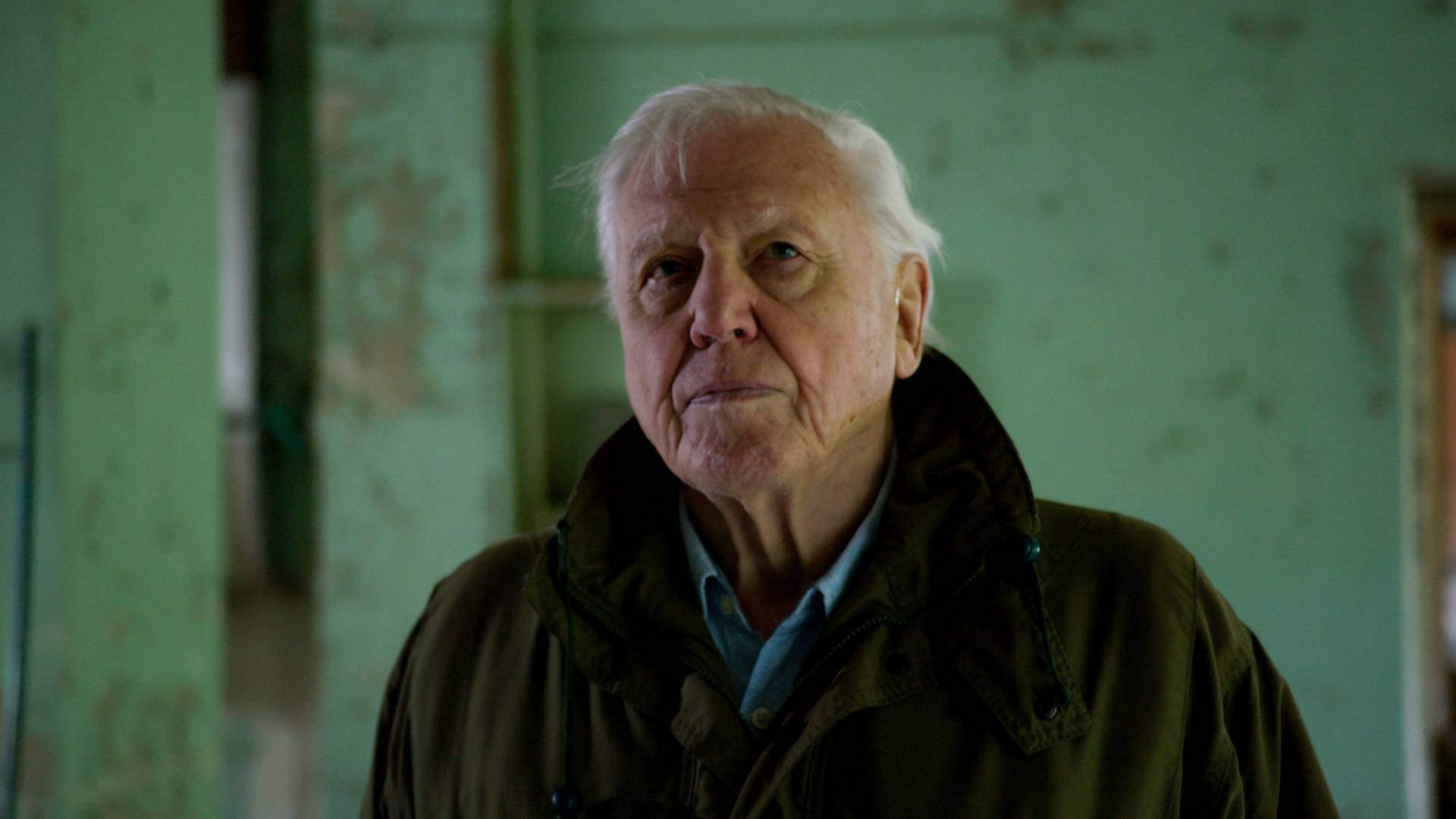 David Attenborough: A Life On Our Planet' News Page VIDEO