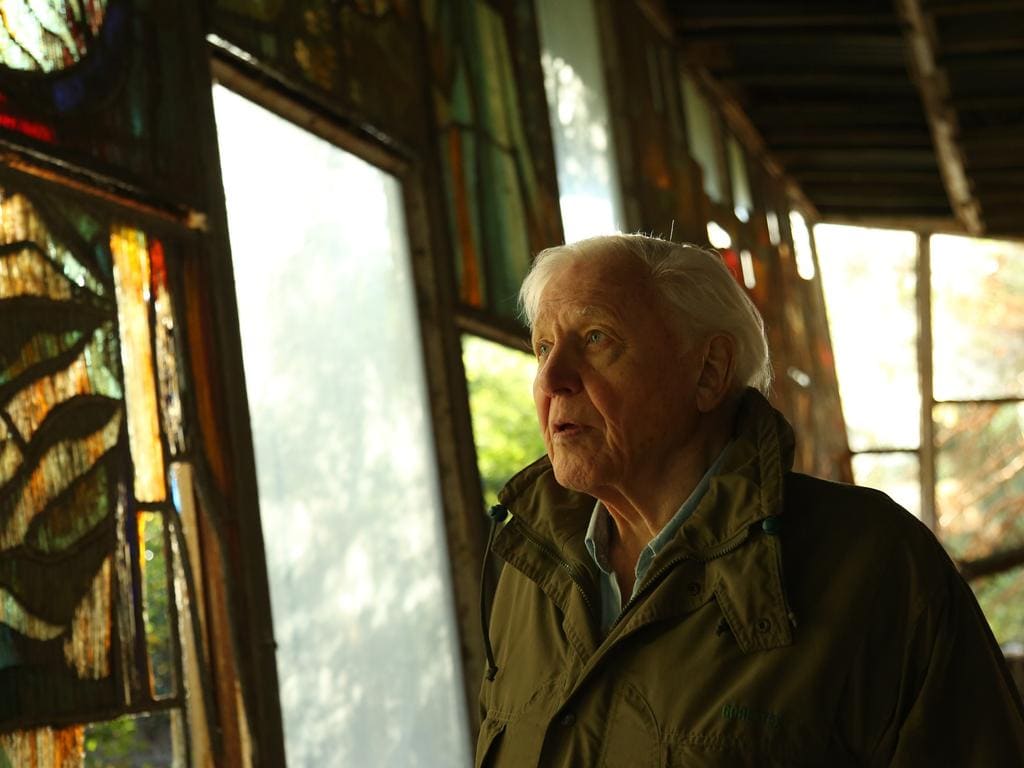 David Attenborough recalls A life on the Planet in first feature film