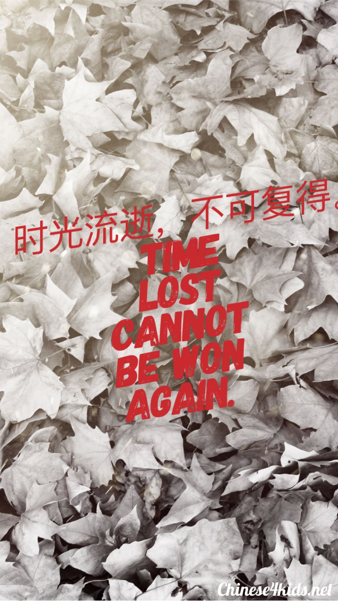 Time lost cannot be found again” Chinese Saying on time #Chinese4kids #chinesesaying #Chineseproverb #Chinese. Chinese proverbs, Proverbs on time, Chinese quotes