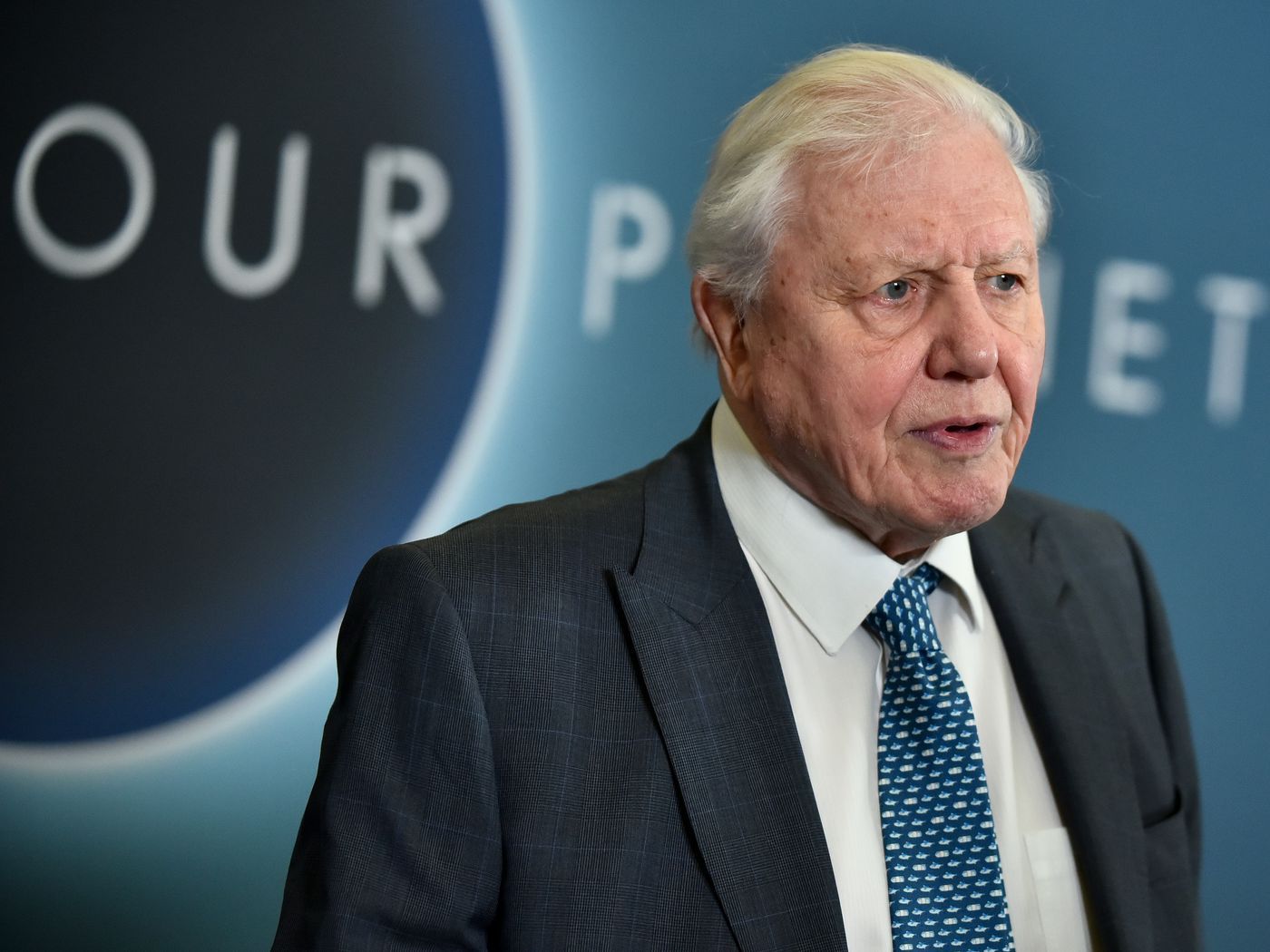 David Attenborough, the voice of Netflix's Our Planet: “Things are going to get worse “