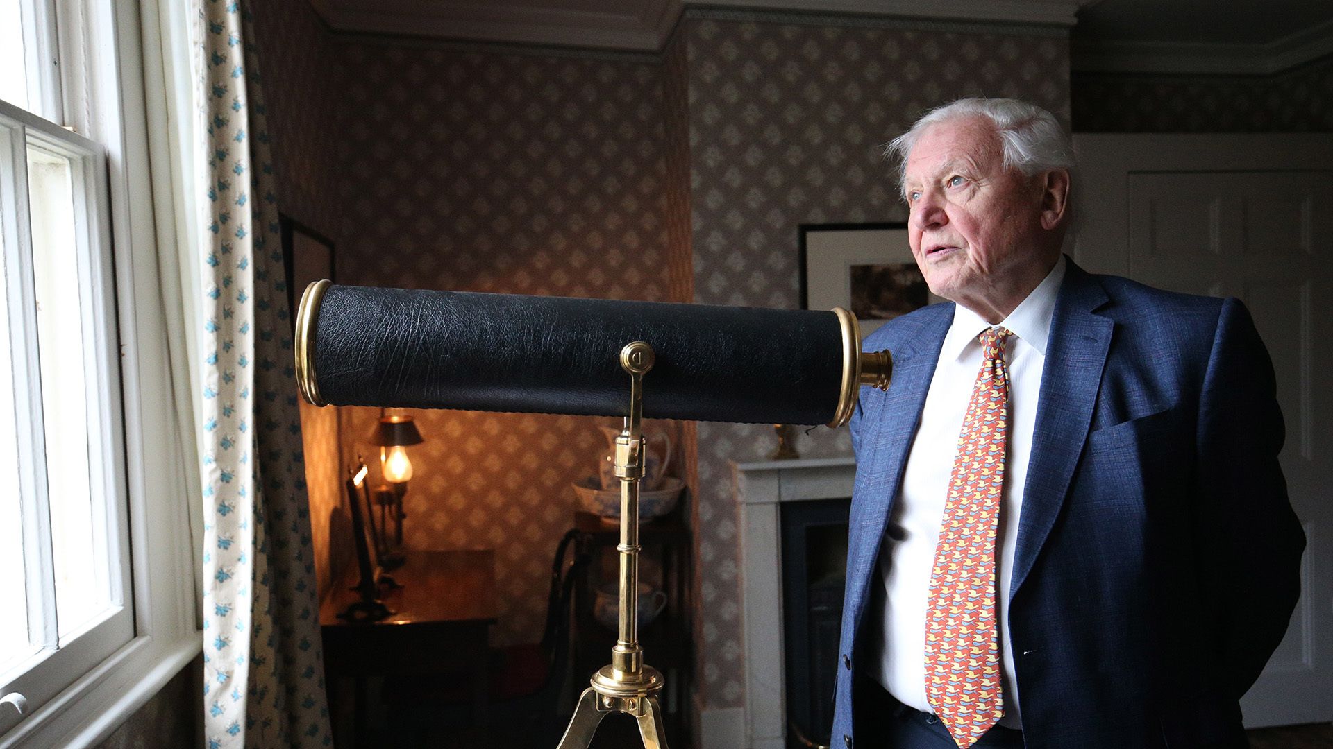 David Attenborough's new book and Netflix film tackles climate crisis with a 'vision for the future'