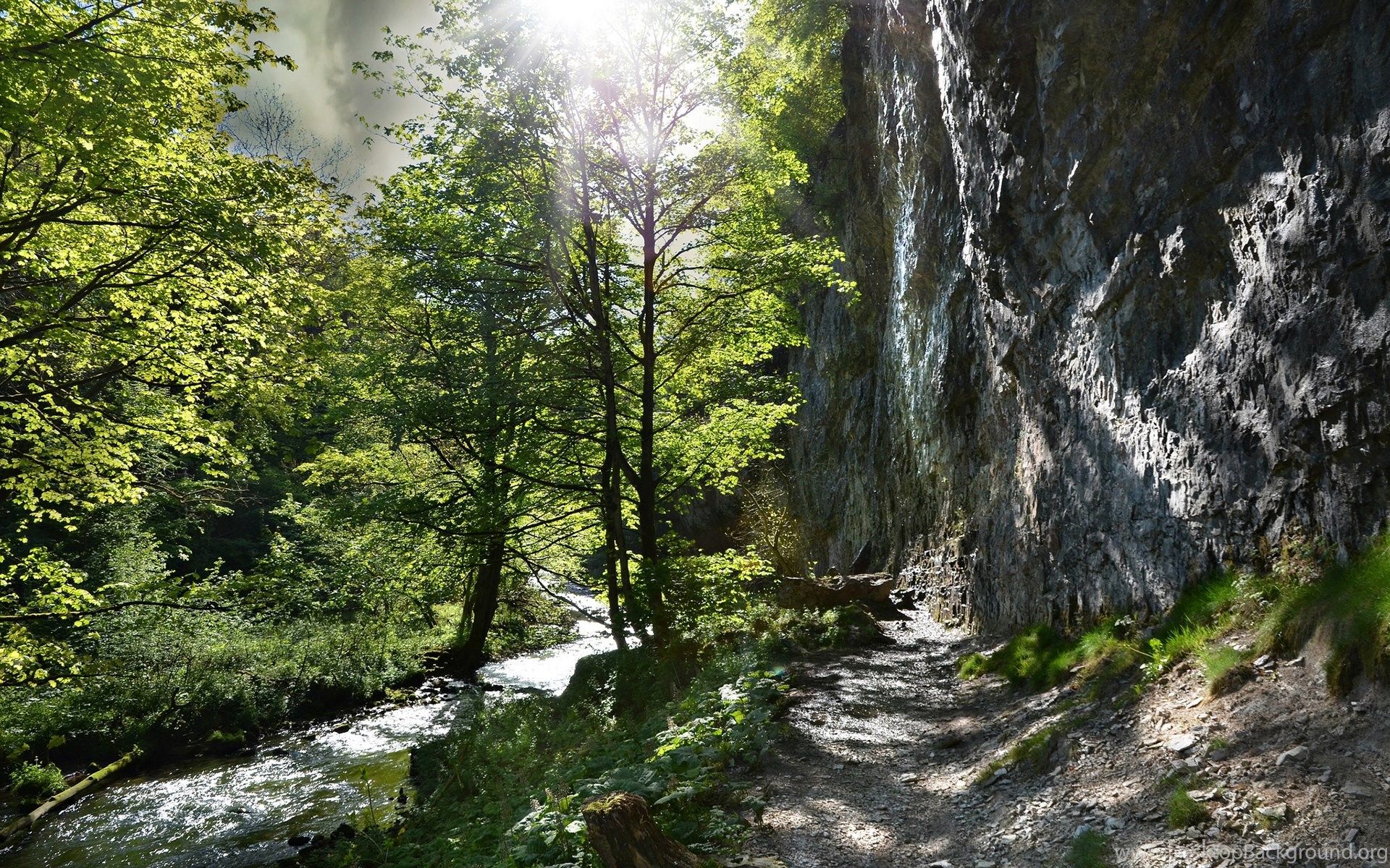 Sunlight Path Trail Forest River Trees Rock Stone Wallpaper. Desktop Background