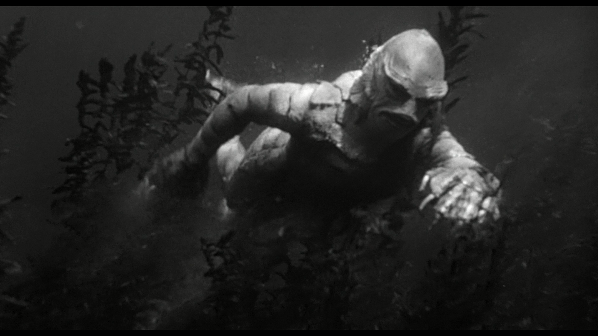 HD wallpaper creature from the black lagoon  Wallpaper Flare