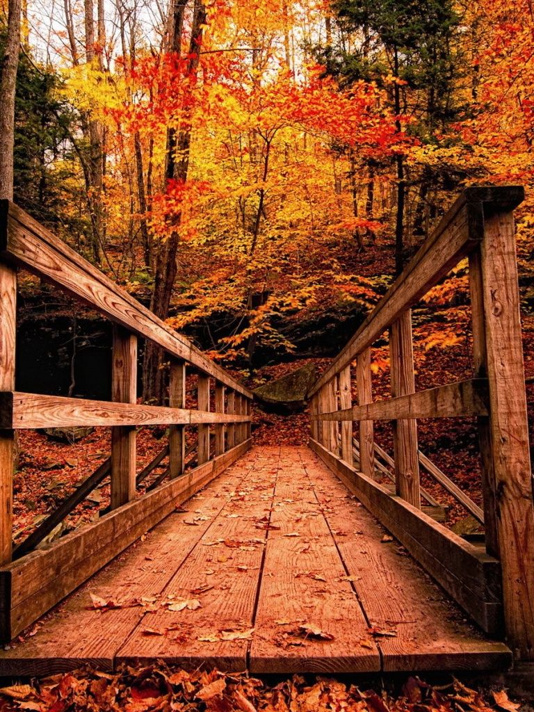Autumn Landscapes iPad wallpaper