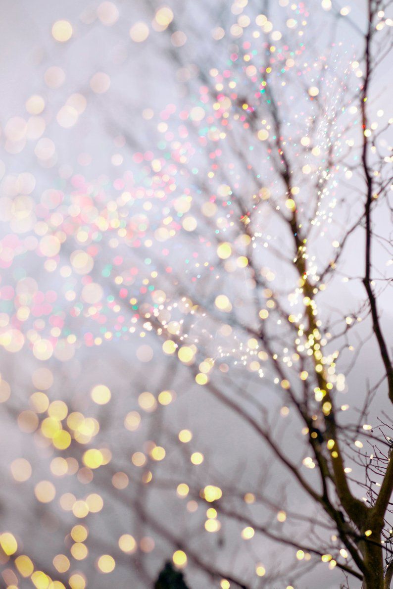 Winter Photography Holiday Fairy Lights in Trees, Festive Winter Scene, Fine Art Landscape Photograph, Large Wall Art. Wallpaper iphone christmas, iPhone wallpaper winter, Fairy lights in trees