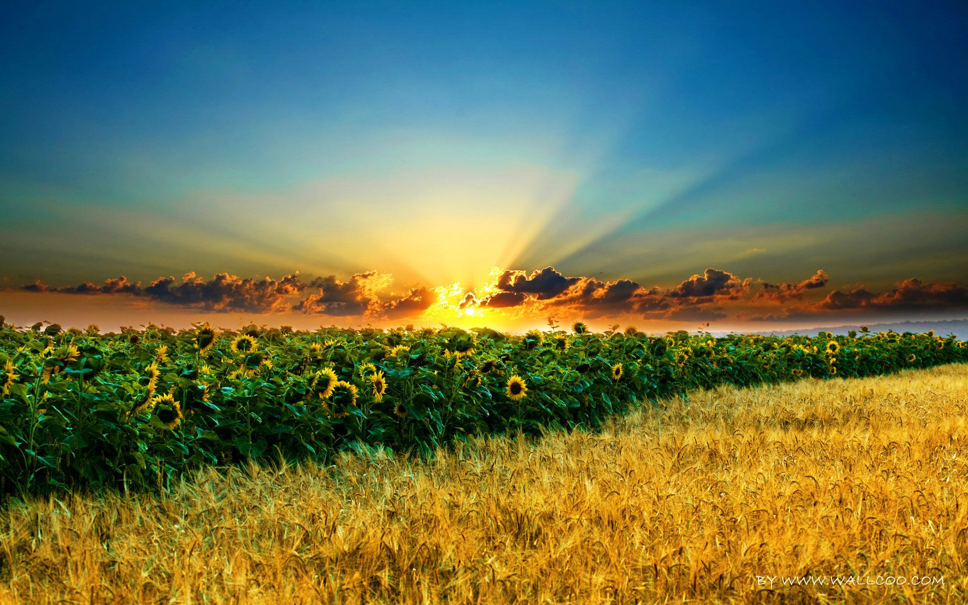 Natural scenery around the world wallpaper 15936