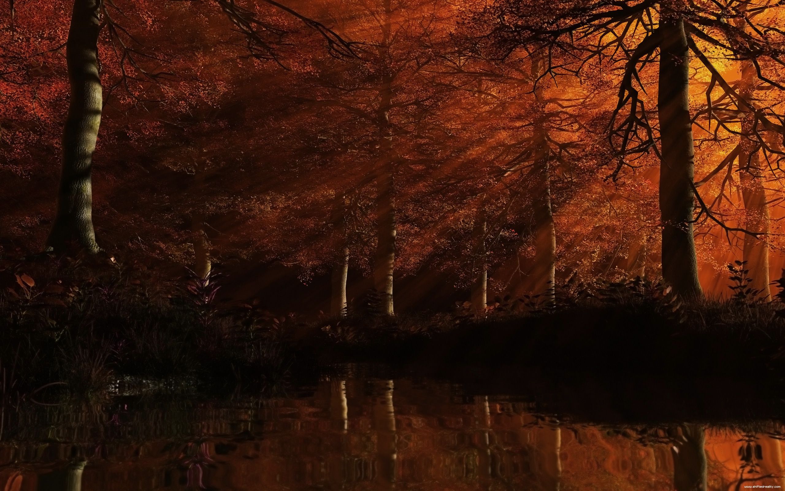 Dark Autumn Forest Wallpaper Dark autumn fo 1474 - Autumn Red Colored Forest Wallpaper