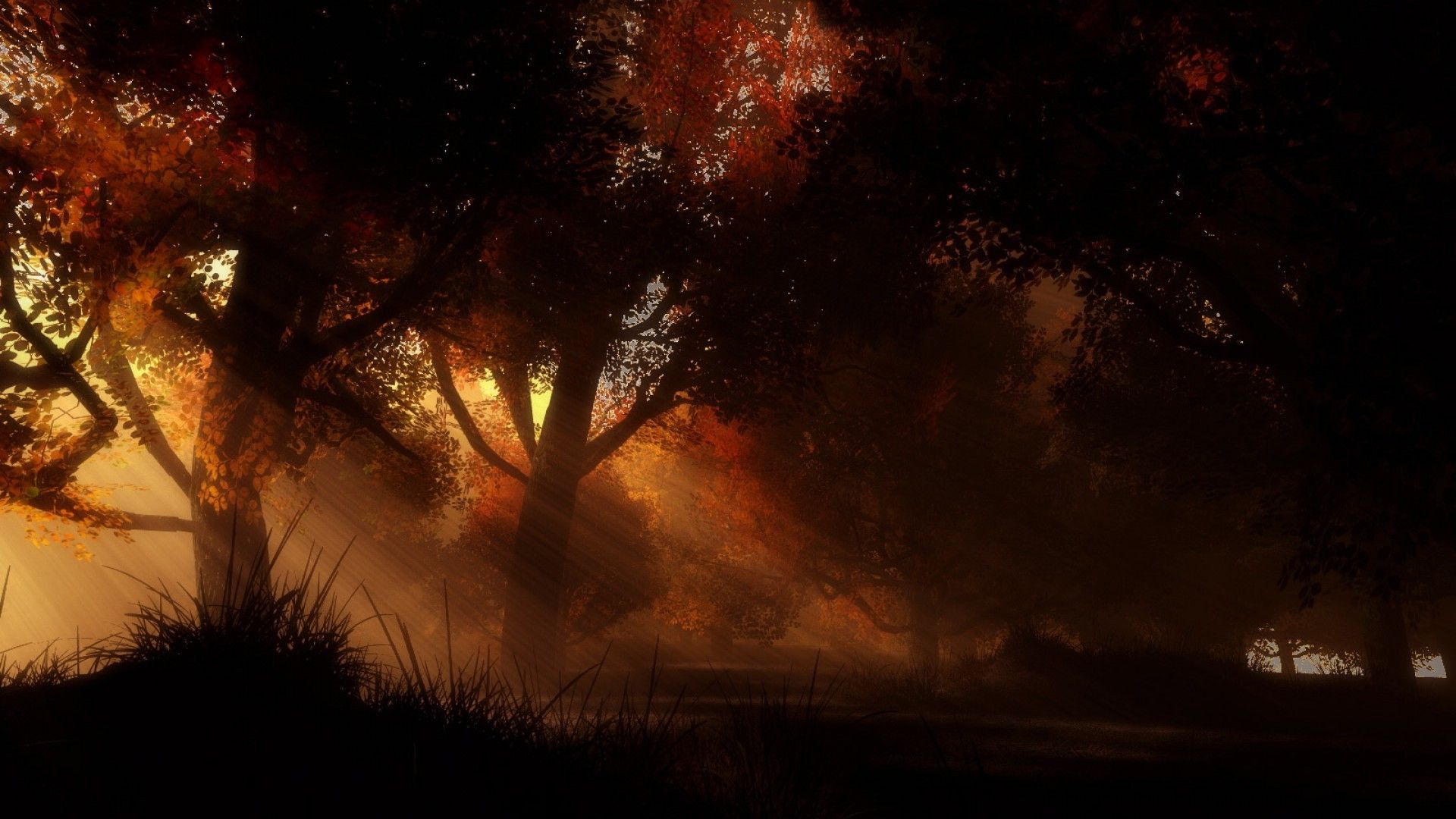 Download desktop wallpaper Autumn dark forest, photo dense forest