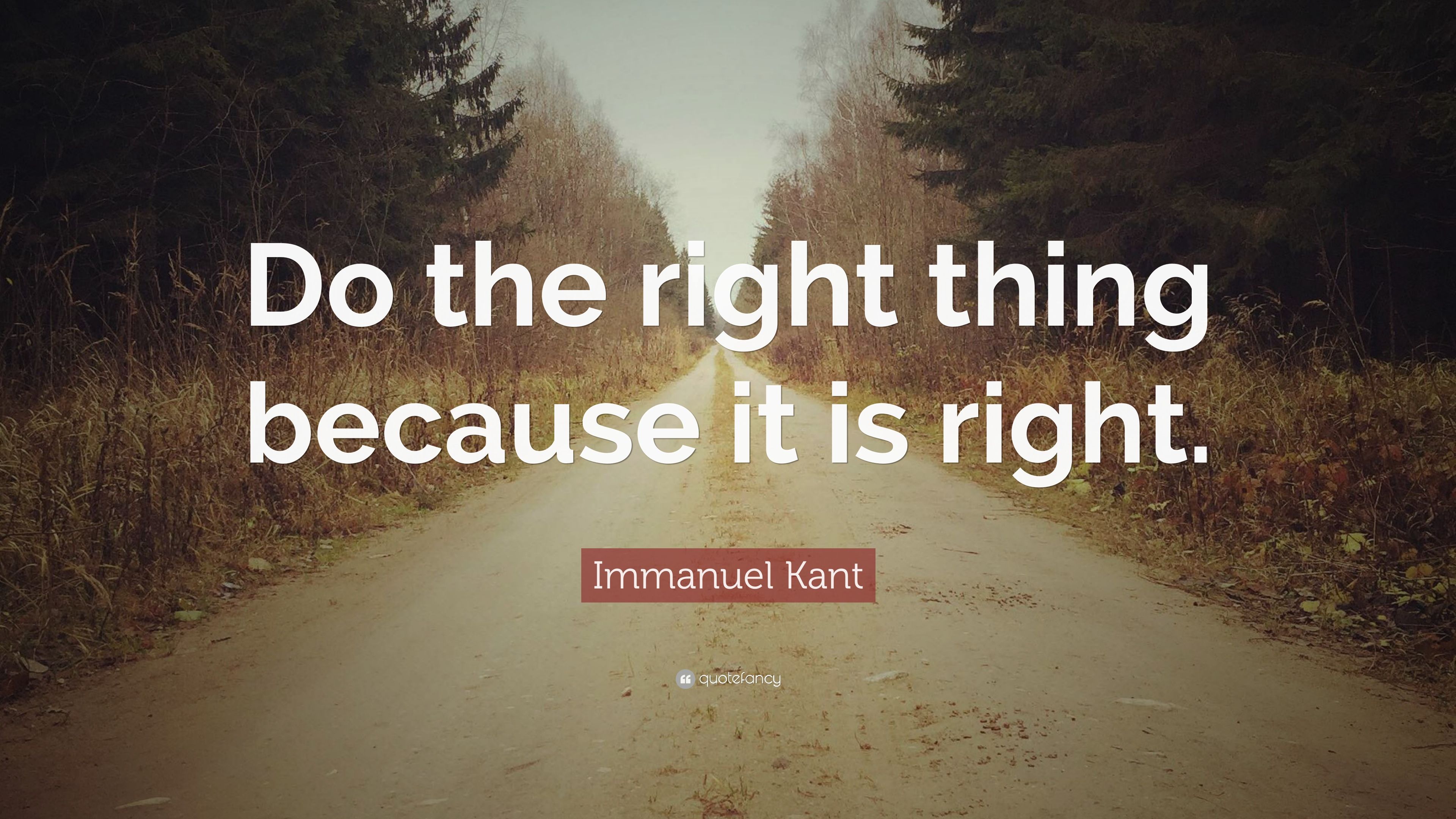 Immanuel Kant Quotes (269 wallpaper)