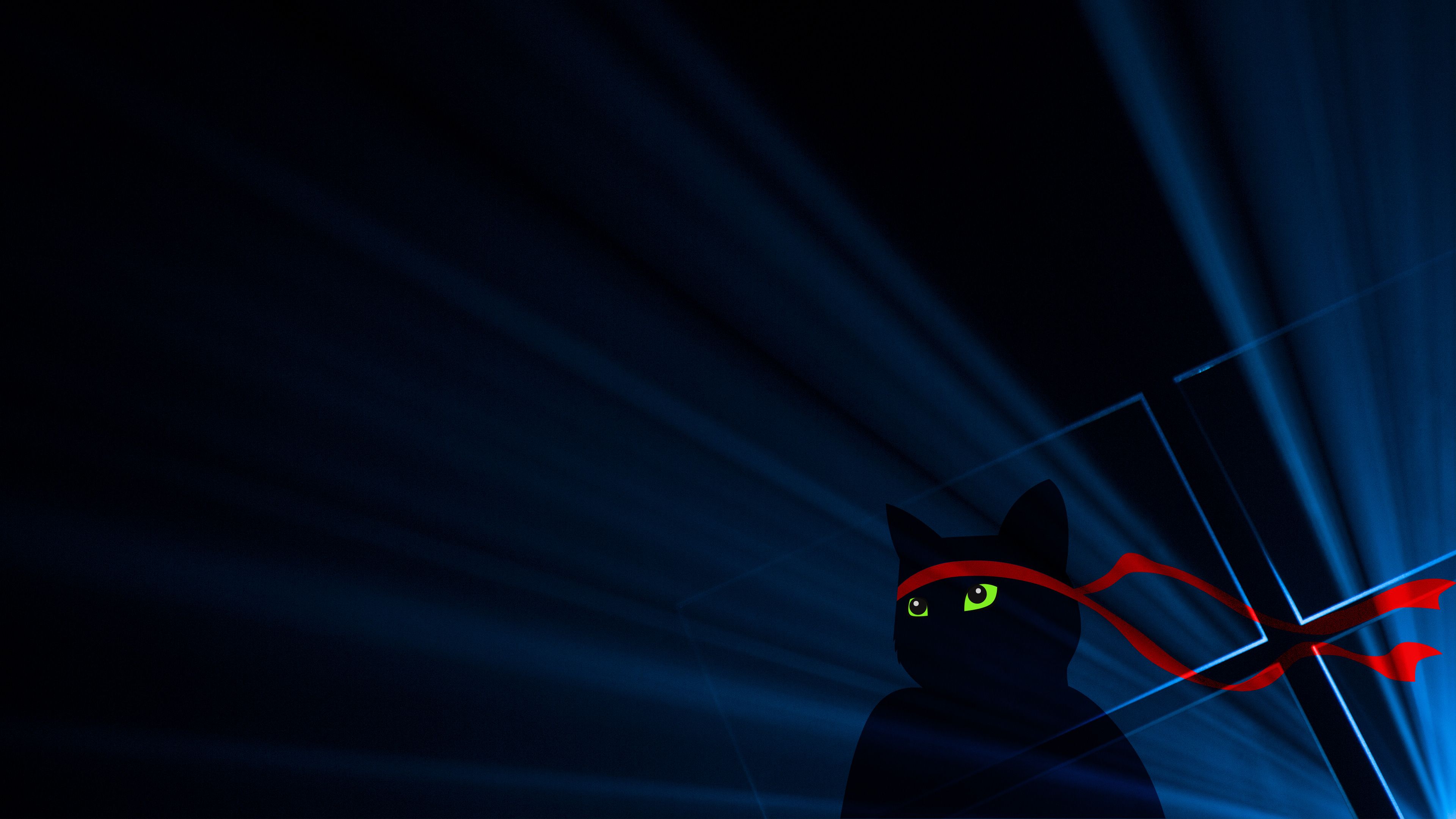 K, #Anniversary update, #Dark, #Ninja Cat, #Windows 10. Mocah.org HD Desktop Wallpaper
