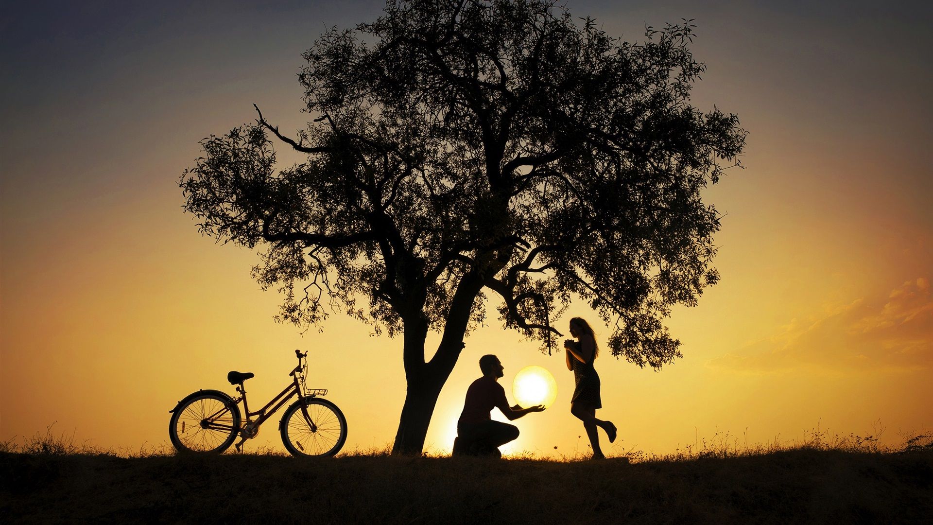 Wallpaper Tree, bike, silhouettes, lovers, sunset 1920x1440 HD Picture, Image