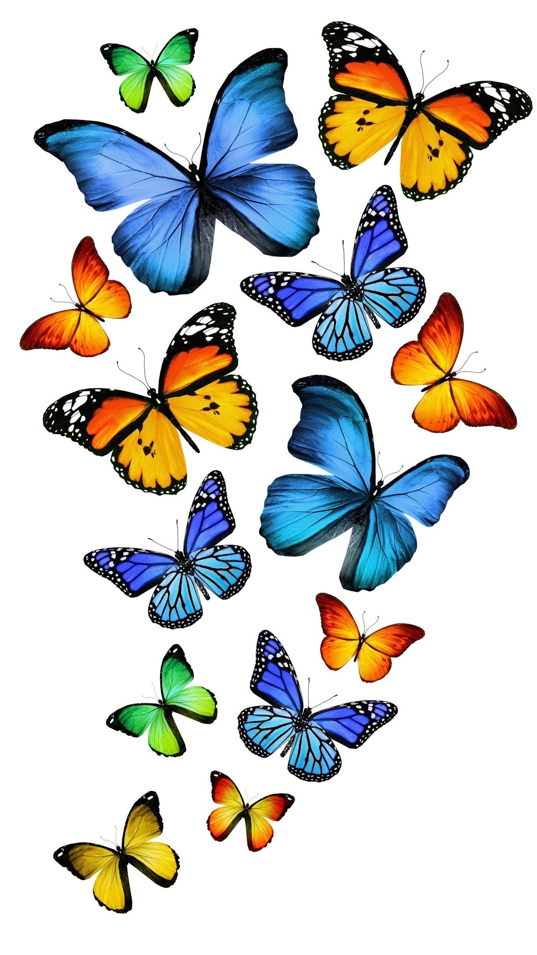 3D, Blue, Green, Blue, Yellow, Butterfly, Green, Yellow, Group Image Png Wallpaper & Background Download